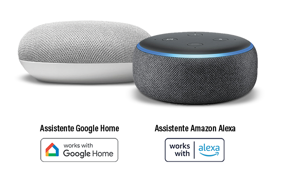 Assistenti vocali Amazon Alexa e Google Home