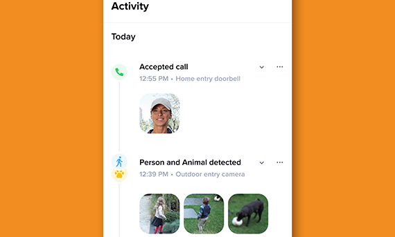 3.Home+Security_Timeline_lr